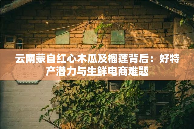 云南蒙自红心木瓜及榴莲背后：好特产潜力与生鲜电商难题