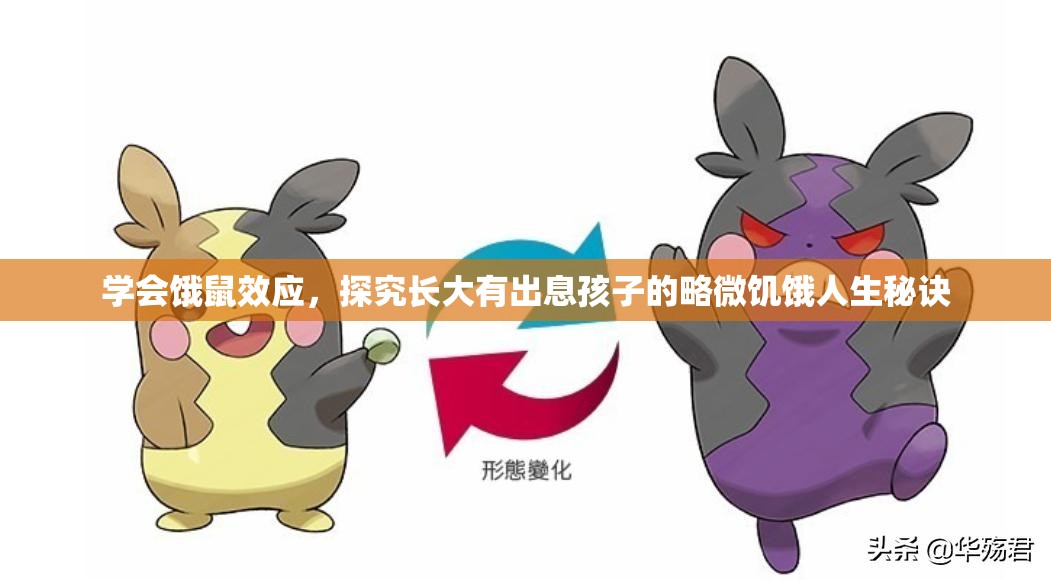 学会饿鼠效应，探究长大有出息孩子的略微饥饿人生秘诀