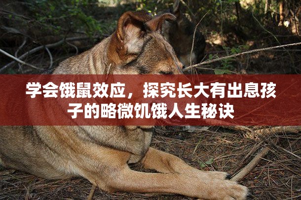 学会饿鼠效应，探究长大有出息孩子的略微饥饿人生秘诀