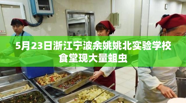 5月23日浙江宁波余姚姚北实验学校食堂现大量蛆虫