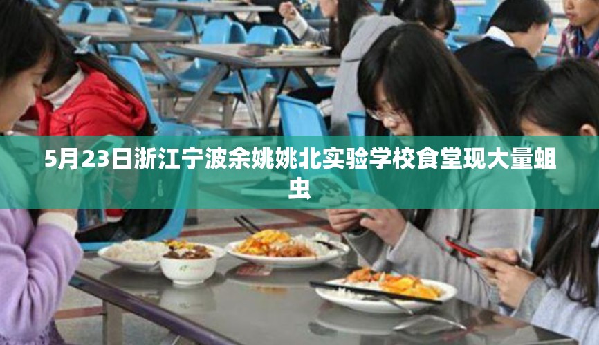 5月23日浙江宁波余姚姚北实验学校食堂现大量蛆虫