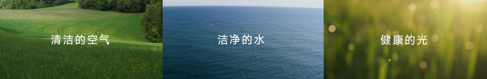 阳光照明和雷士哪个好_雷士伯克丽照明官网_
