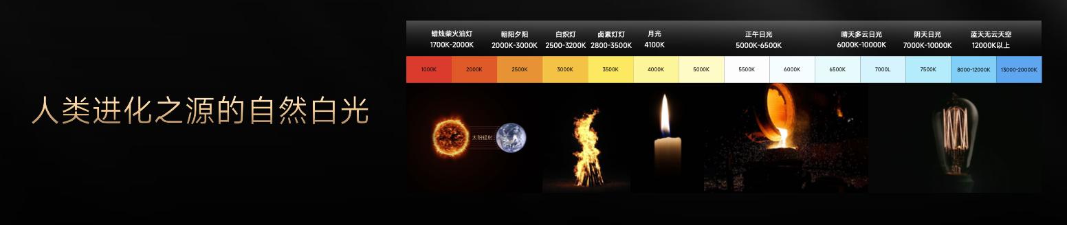 阳光照明和雷士哪个好__雷士伯克丽照明官网